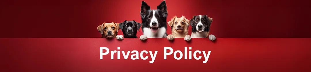 Privacy policy